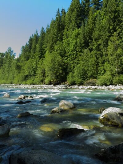 Backman County Park - Darrington, WA