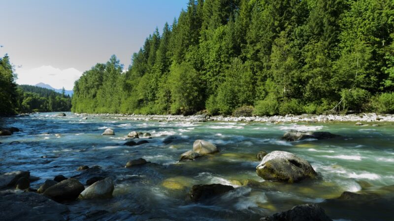 Backman County Park - Darrington, WA