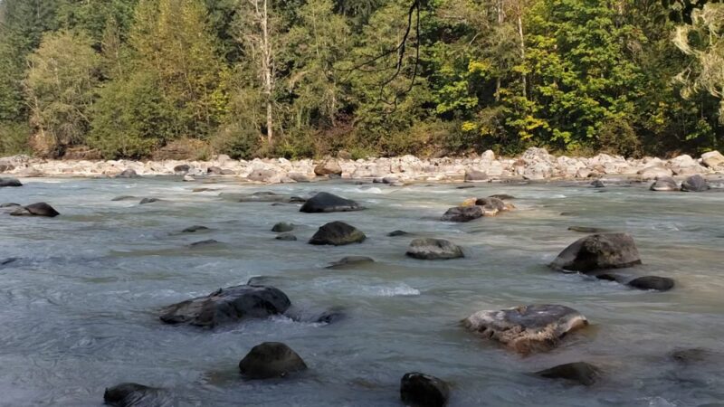 Backman County Park - Darrington, WA