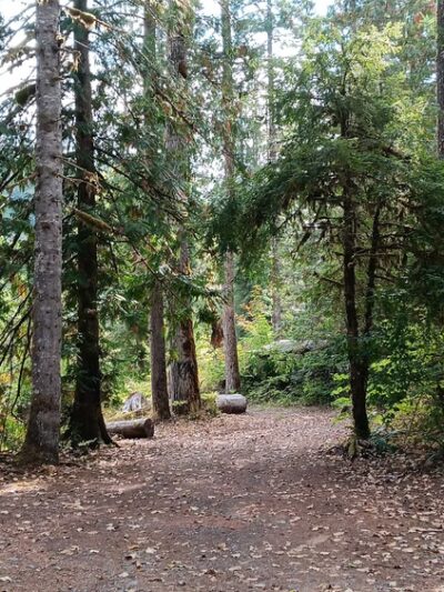Backman County Park - Darrington, WA