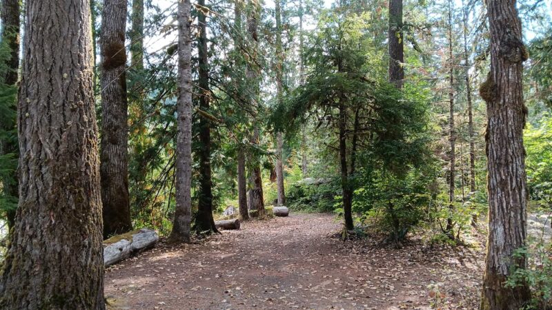Backman County Park - Darrington, WA