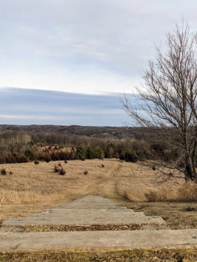 Darwin Winter Recreation Park - Dassel, MN