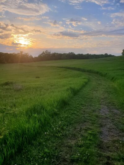 Darwin Winter Recreation Park - Dassel, MN