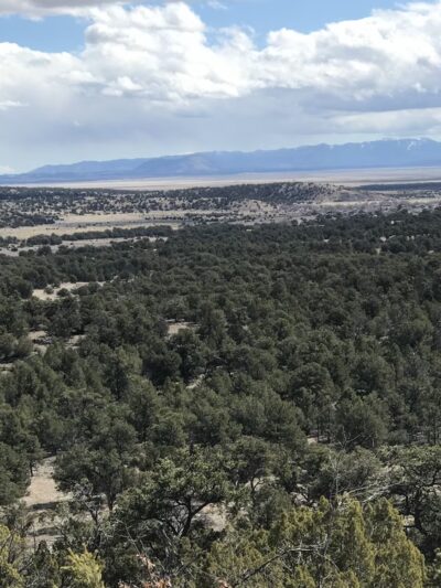 Continental Divide Wilderness Study Area - Datil, NM
