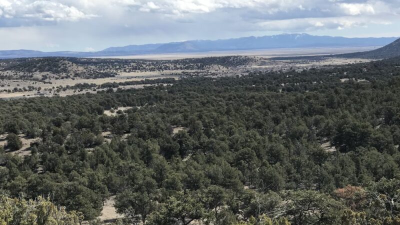 Continental Divide Wilderness Study Area - Datil, NM