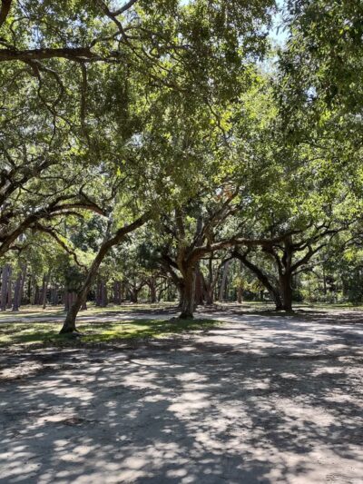 Cadillac Square - Dauphin Island, AL