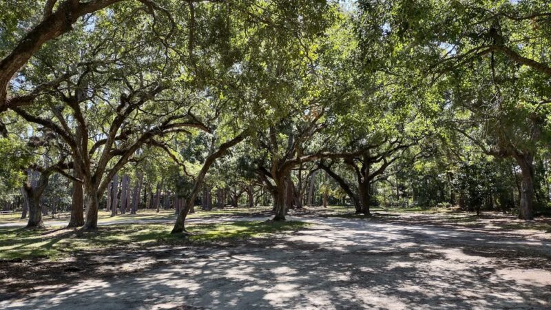 Cadillac Square - Dauphin Island, AL