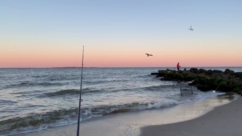 Dauphin Island East End Public Beach - Dauphin Island, AL