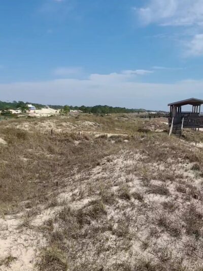 Public Beach - Dauphin Island, AL