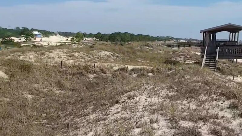 Public Beach - Dauphin Island, AL