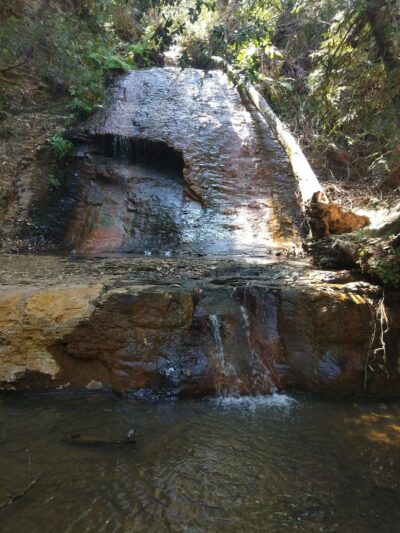 West Waddell Creek State Wilderness - Davenport, CA