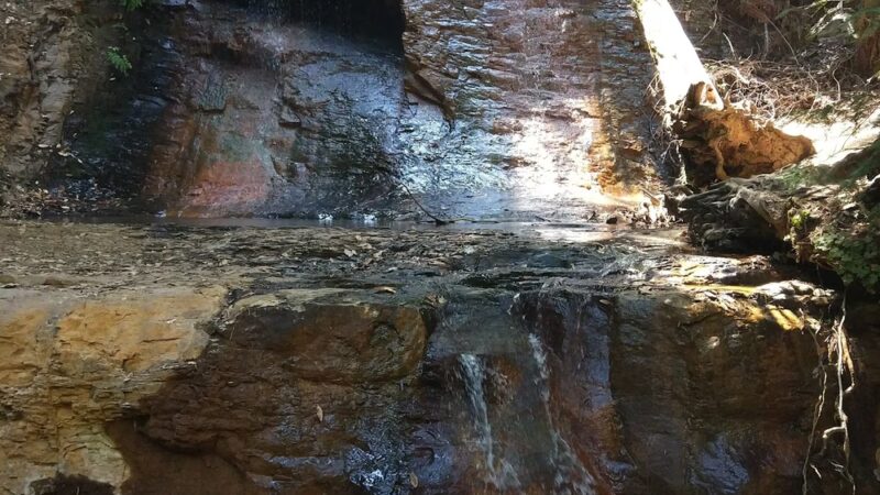 West Waddell Creek State Wilderness - Davenport, CA