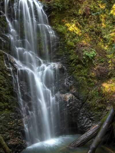 West Waddell Creek State Wilderness - Davenport, CA