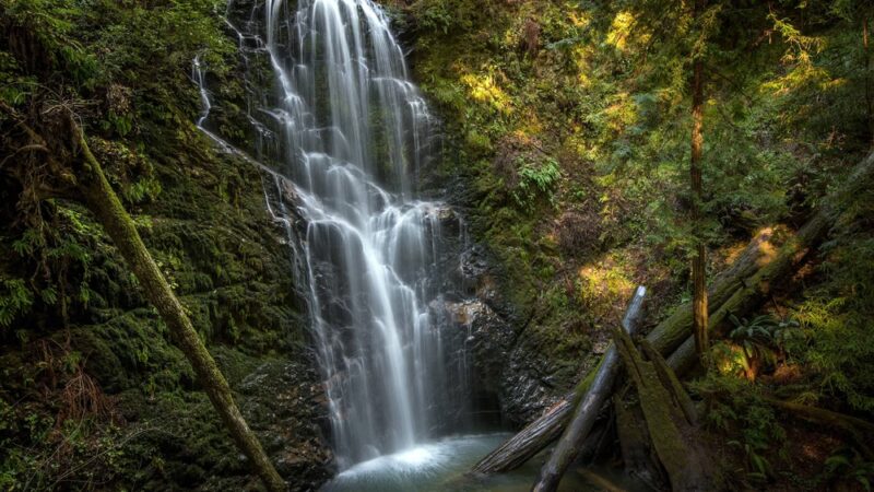 West Waddell Creek State Wilderness - Davenport, CA