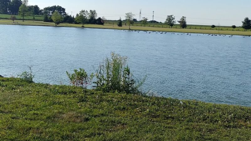 Davis Junction Community Park - Davis Junction, IL
