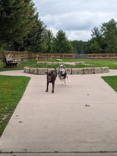 Davison Area Dog Park - Davison, MI
