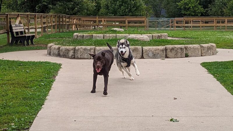 Davison Area Dog Park - Davison, MI
