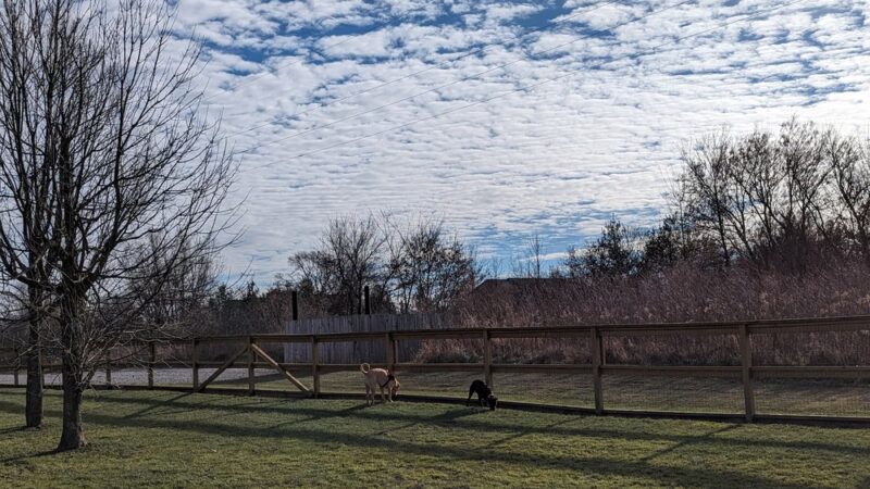 Davison Area Dog Park - Davison, MI
