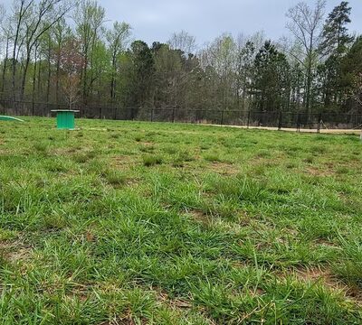 Dawsonville City Dog Park - Dawsonville, GA