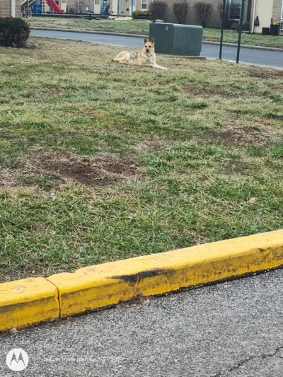 Gil Lynn Park - Dayton, KY