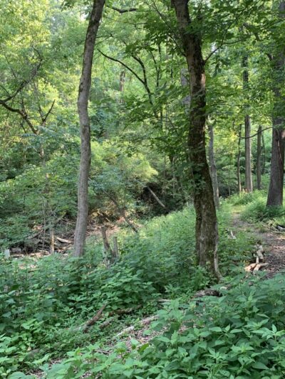 Sargeant Park - Dayton, KY
