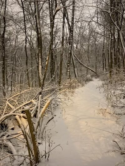 Sargeant Park - Dayton, KY