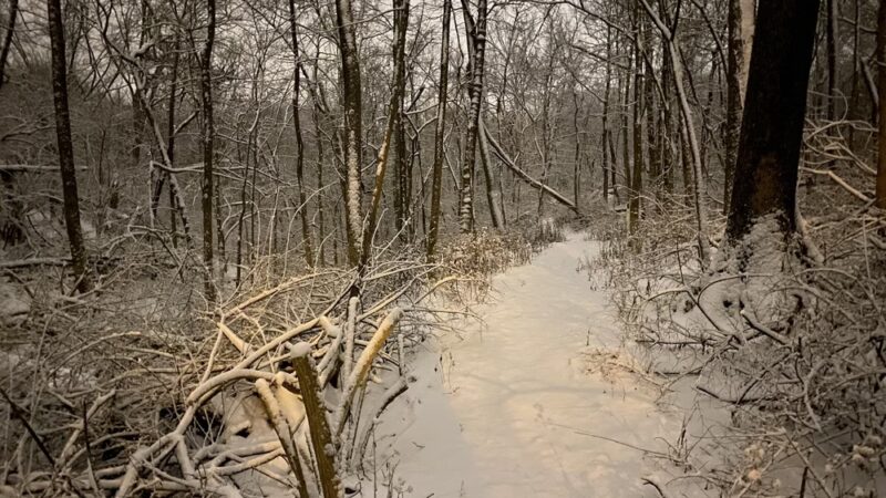 Sargeant Park - Dayton, KY