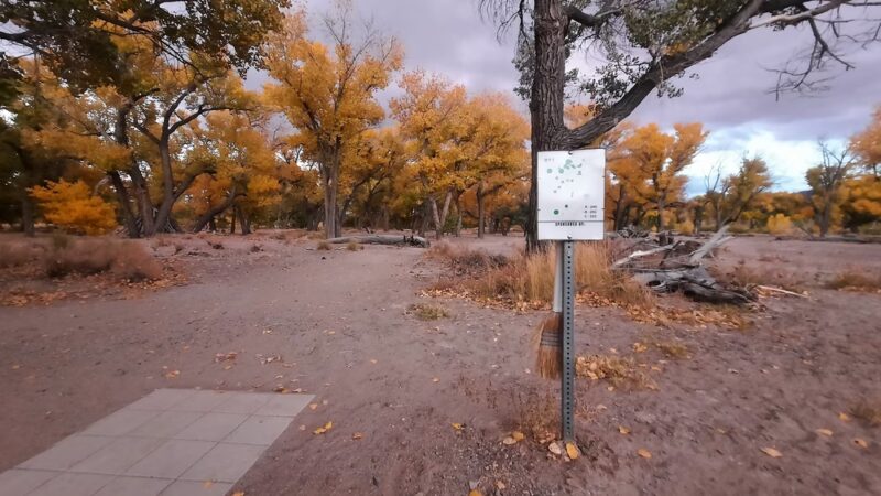 Rolling A Disc Golf Course - Dayton, NV