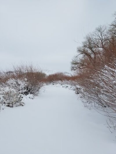 Rolling A Ranch - Dayton, NV