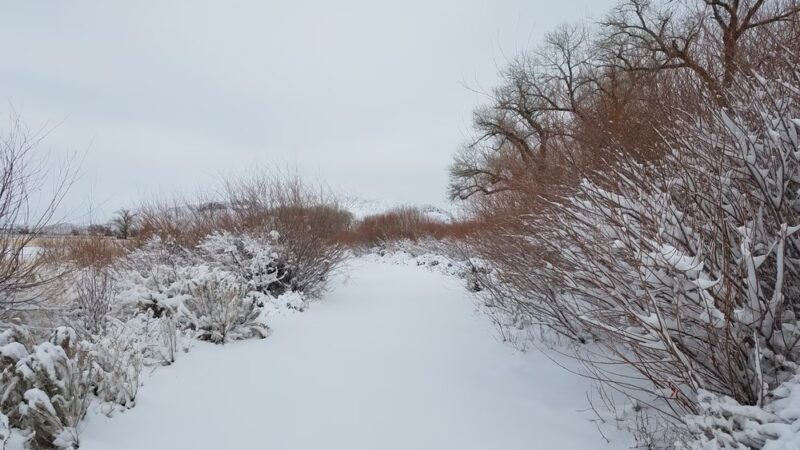 Rolling A Ranch - Dayton, NV