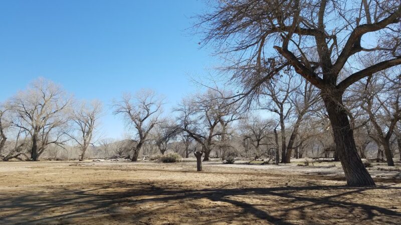 Rolling A Ranch - Dayton, NV