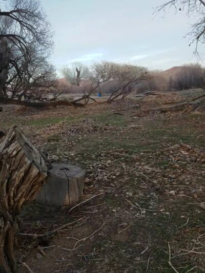 Wadsworth Park - Dayton, NV