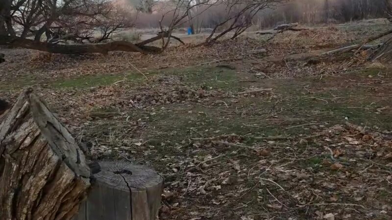 Wadsworth Park - Dayton, NV