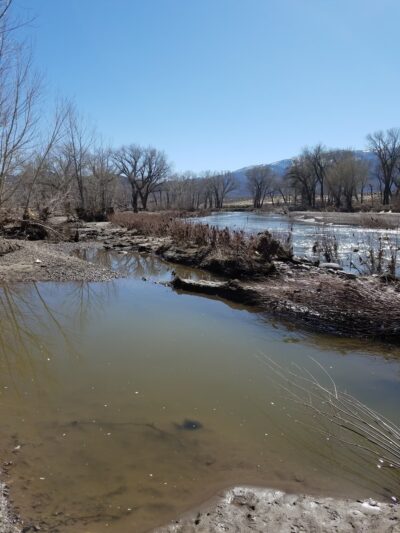 Wadsworth Park - Dayton, NV
