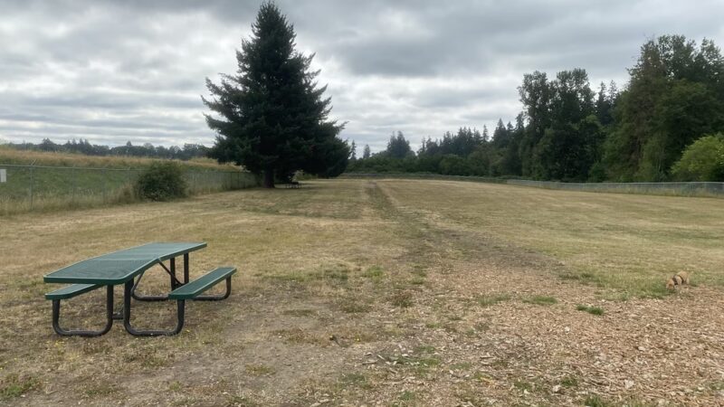 Alderman Dog Park - Dayton, OR