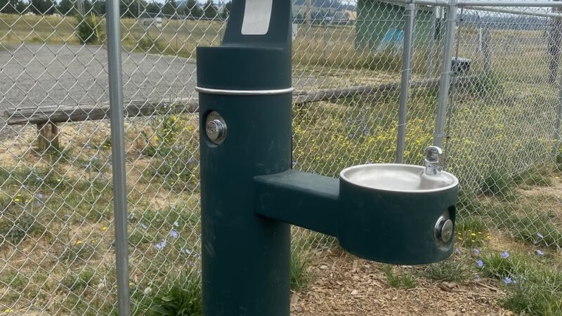 Alderman Dog Park - Dayton, OR