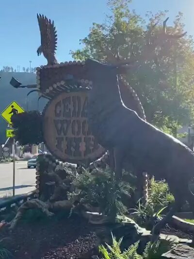 Cedar Wood Inn - Deadwood, SD