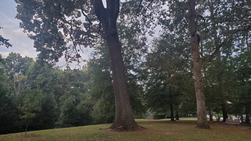 Sycamore Park - Decatur, GA