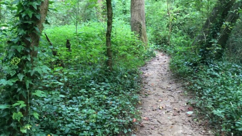 Dearborn Park - Decatur, GA