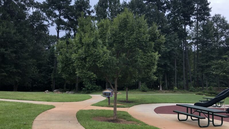 Flat Shoals Park - Decatur, GA