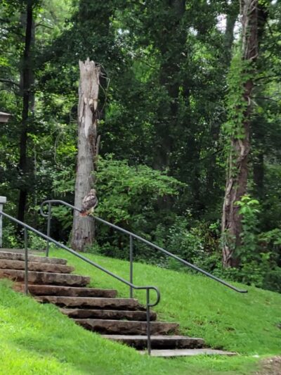 Glenlake Park - Decatur, GA