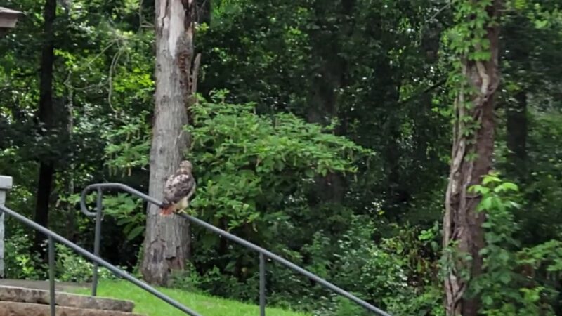 Glenlake Park - Decatur, GA