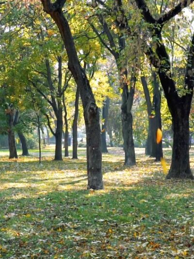 Hidden Cove Park - Decatur, GA