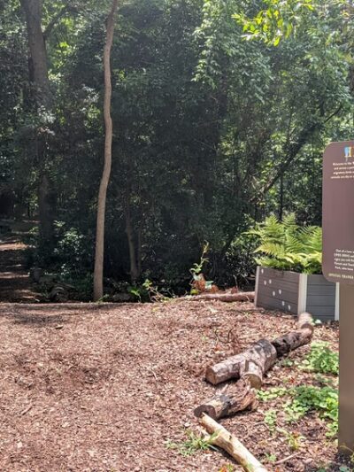 Hidden Cove Park - Decatur, GA