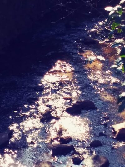 Hidden Cove Park - Decatur, GA