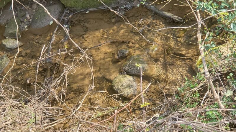 Longdale Park - Decatur, GA