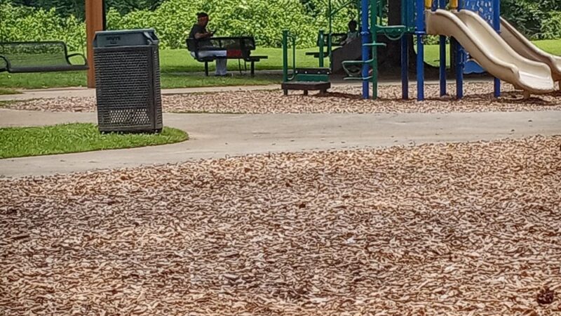 Lou Walker Park - Decatur, GA