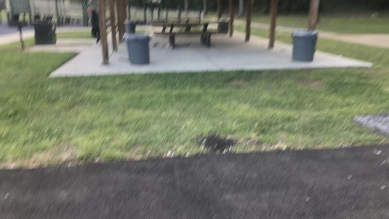 Shoal Creek Park I (North Entrance) - Decatur, GA