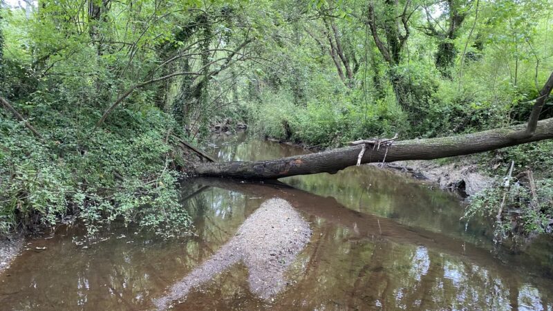 Shoal Creek Park I (North Entrance) - Decatur, GA