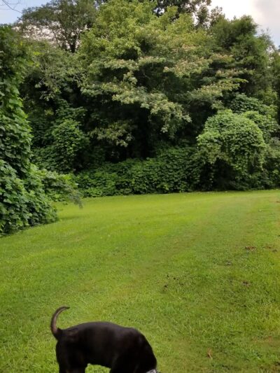 Shoal Creek Park II - Decatur, GA